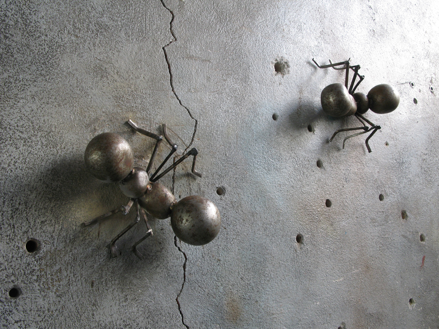 ANTS