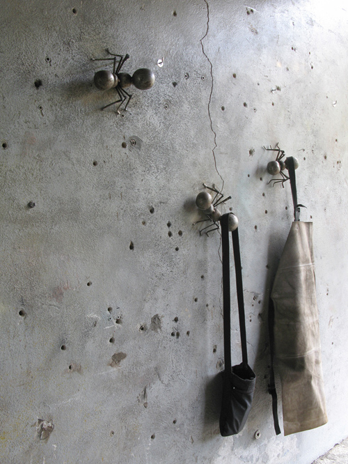 img-ants-002